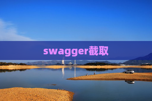 swagger截取